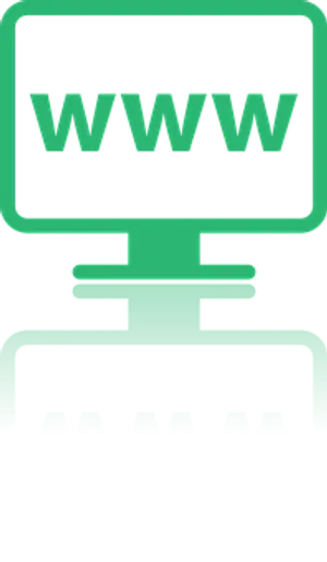 Internet Access Icon