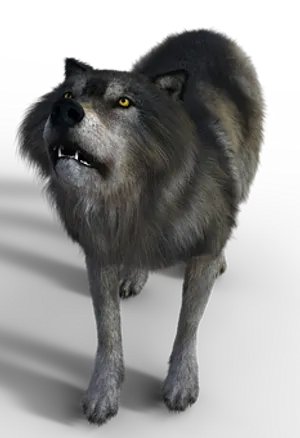 Intimidating Grey Wolf Black Background PNG image