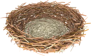 Intricate Bird Nest Structure.png PNG image