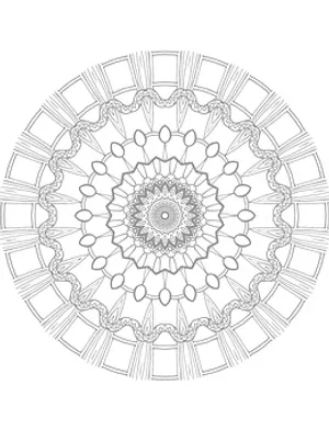 Intricate Black White Mandala Design PNG image