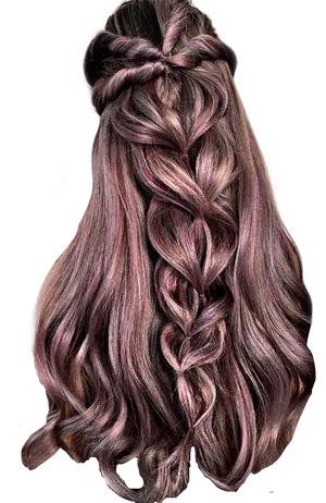 Intricate Braided Hairstyleon Long Hair