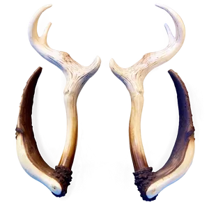 Intricate Deer Antler Representation Png Nge39 PNG image