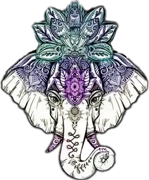 Intricate Elephant Mandala Artwork PNG image
