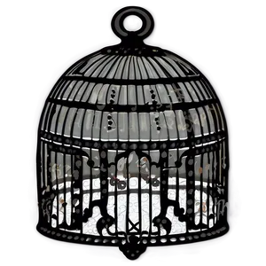Intricate Lace Birdcage PNG Xfi PNG