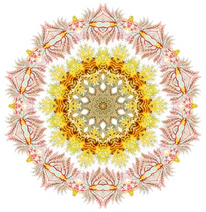 Intricate Mandala Pattern Sticker PNG image