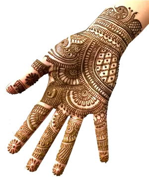 Intricate Mehndi Designon Hand PNG image