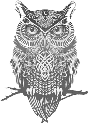 Intricate Owl Design Blackand White PNG image