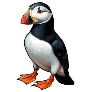 Intricate Puffin Drawing PNG 06292024