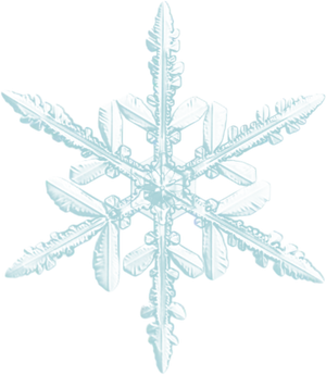 Intricate Snowflake Design PNG image