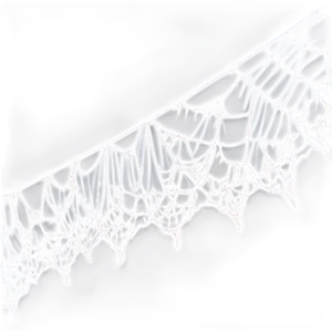 Intricate Spider Web Art PNG image