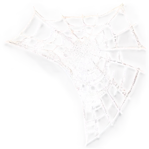 Intricate Spider Web Artwork PNG image