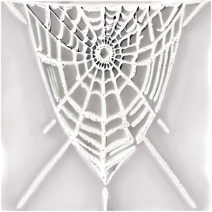 Intricate Spider Web Artwork PNG