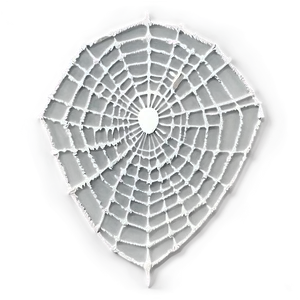 Intricate Spider Web Artwork PNG image