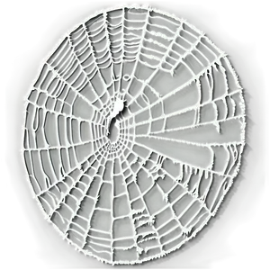 Intricate Spider Web Artwork