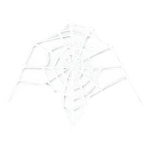 Intricate Spider Web Artwork