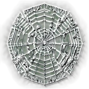 Intricate Spider Web Artwork