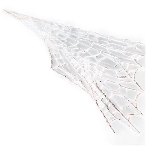 Intricate Spider Web Closeup