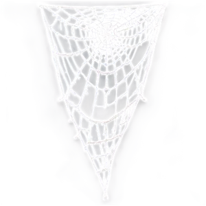 Intricate Spider Web Design PNG image