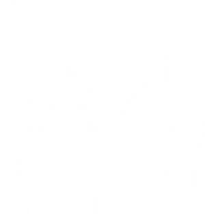 Intricate Spider Web Design PNG image