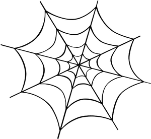 Intricate Spider Web Drawing PNG image