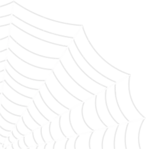 Intricate Spider Web Drawing PNG image