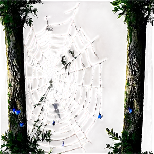 Intricate Spider Web Forest Scene