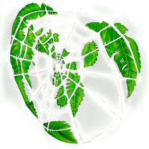 Intricate Spider Web Green Leaves Background PNG image