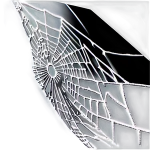 Intricate Spider Web Negative Effect PNG image