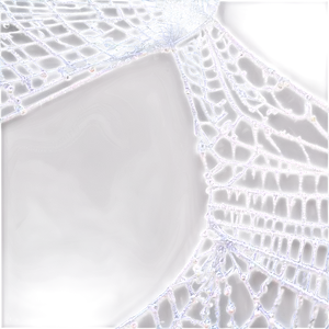 Intricate Spider Web Negative Effect PNG