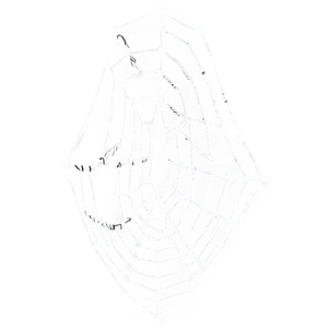 Intricate Spider Web Sketch PNG image
