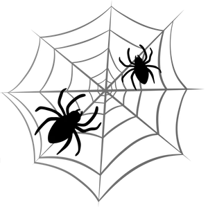 Intricate Spider Webon Black Background PNG image