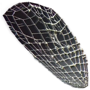 Intricate Spider Webon Leaf PNG image