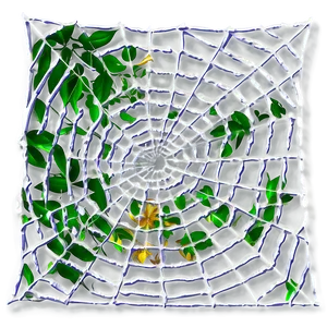Intricate Spider Webwith Leaves PNG image