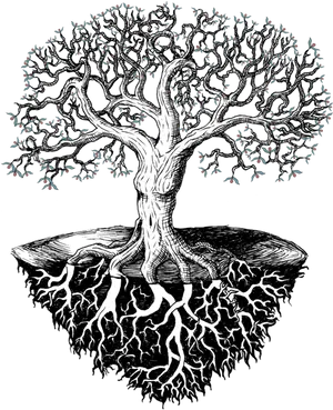 Intricate Treeand Roots Artwork PNG image