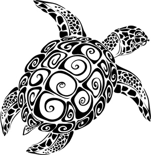 Intricate Turtle Design PNG image
