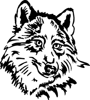 Intricate Wolf Silhouette Graphic PNG image