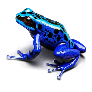 Intriguing Poison Dart Frog PNG Vya