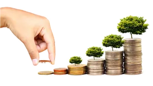 Investment Growth Concept PNG