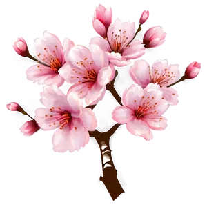 Inviting Cherry Blossom PNG Ebu36 PNG