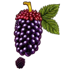 Inviting Loganberry PNG Tgk