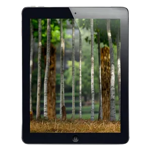 Ipad Screen Mockup Png Ffd11 PNG image