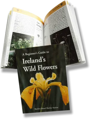 Irelands Wild Flowers Guide Book PNG