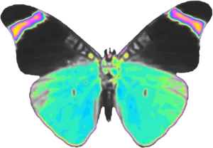 Iridescent Butterfly Wings PNG image