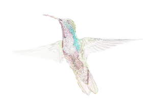 Iridescent Hummingbird In Flight