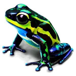 Iridescent Poison Dart Frog PNG Iap69 PNG