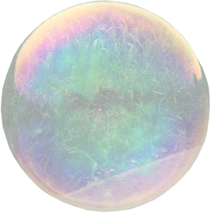 Iridescent Soap Bubbleon Grass PNG image