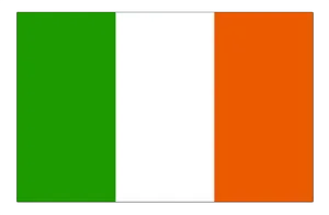 Irish National Flag PNG image