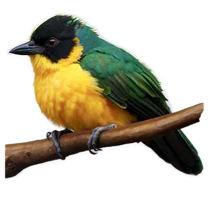 Island Bird Watching Heaven Png Mgu3 PNG image