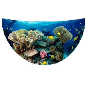Island Coral Reef Underwater Png 05232024 PNG image