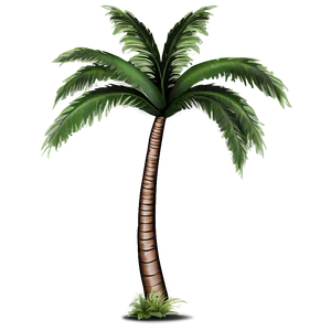 Island Palm Trees PNG 05042024